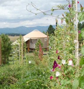 Yurt and Garden Yurt and Garden