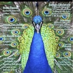 Carpe Articulum Literary Review, Winter 2010