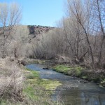 Between Wet and Dry
